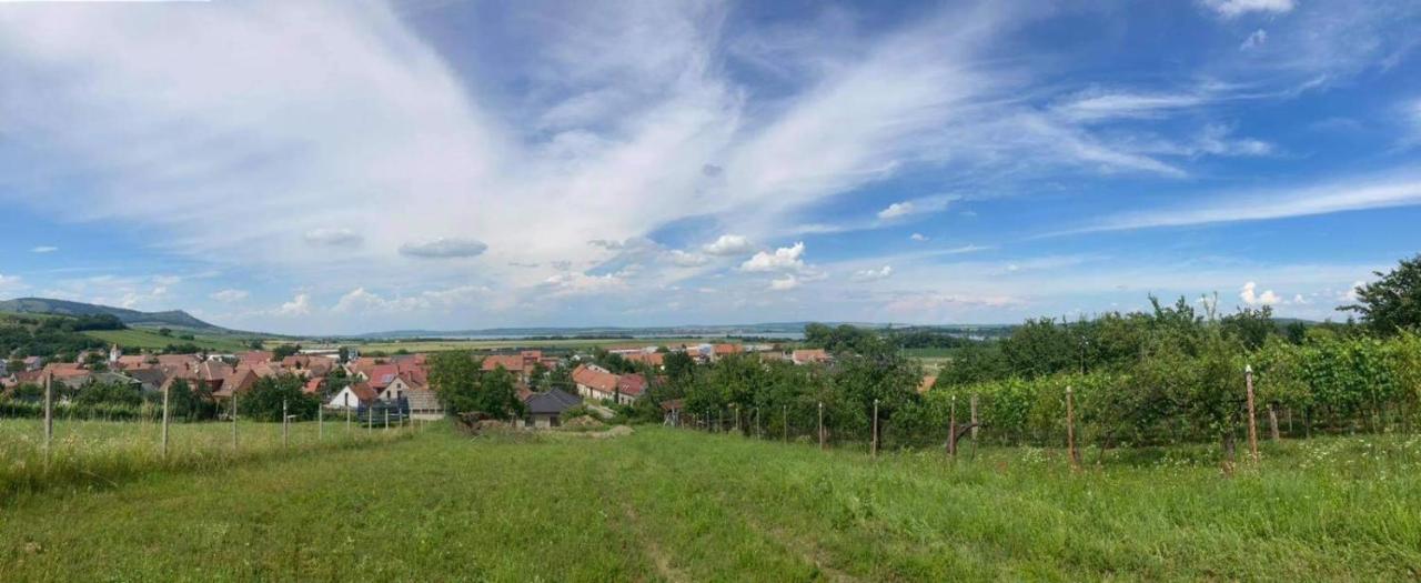 Prázdninový dům na Pálavě Milovice  Exterior foto